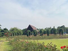 -上海滨江森林公园