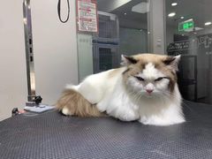 -宠物家(双井店)