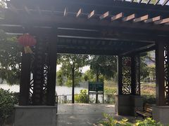 -广东花都湖国家湿地公园