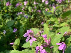 -白塘生态植物园