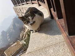 -崂山巨峰游览区
