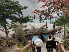 -塔云山