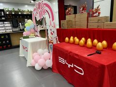 -上海华裕比亚迪4S店