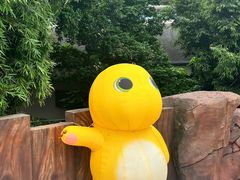 -海合安成都极地海洋公园