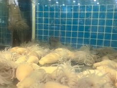 -杨记海鲜楼(三门黑金冠店)