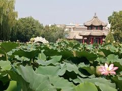 -莲池书院博物馆
