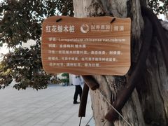 -国寿嘉园·苏州雅境