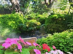 -Chom Cafe and Restaurant