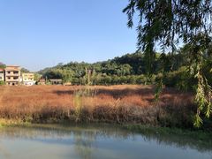 -红山村