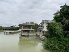 -海上田园