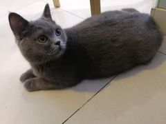 -平行世界·猫咖(首经贸店)