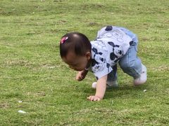 -枫香湖儿童公园