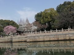 -苏州古运河游船(新市桥码头)
