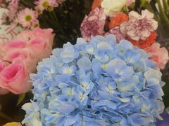 -摩登百货(岗顶店)