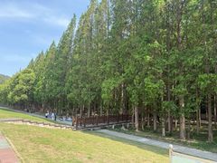 -南京金牛湖风景区