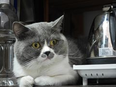 -不作·手工银饰DIY(西红门店)