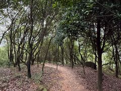 -石峰岩寺