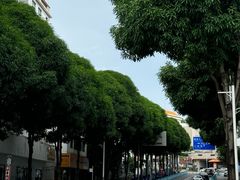 -怀德酒楼·粤菜·海鲜·茶点(宝安国际机场店)
