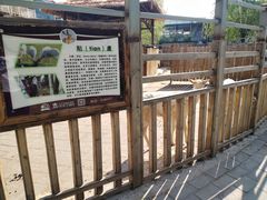 -北京鹿世界主题园