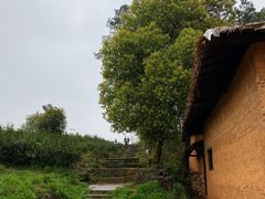 -杏花村文化旅游区