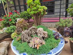 -山菌美食苑(振兴路店)