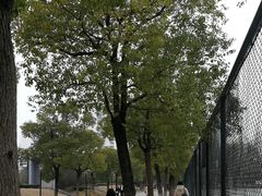 -同济大学四平路校区游泳馆