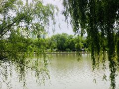 -上海市第一人民医院(松江南部)
