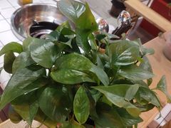 -蛙一刀·麻椒鱼火锅(金仙桥店)