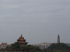 -顺峰山公园