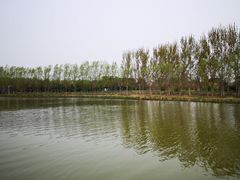 -塘沽森林公园