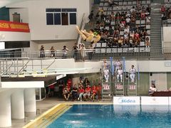 -重庆市奥林匹克体育中心-游泳跳水馆