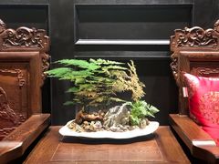 -柳莺湖上·湖景餐厅·江南菜(西湖店)