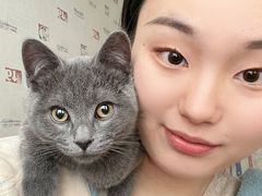 -安安宠医·安宠宠物医院