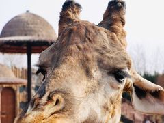 -济南野生动物世界