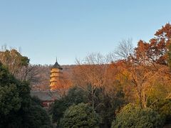 -灵谷景区