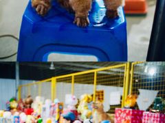 -大学城夜市大排档(凤栖路店)