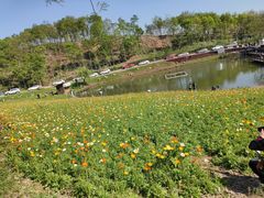-大塘金香草谷