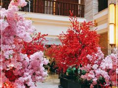 -九号温泉生活馆