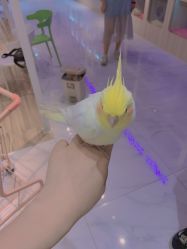 -Moni星球萌宠·小马宝莉·灵蛇·高端高阶全萌宠互动体验俱乐部(红豆国际广场店)