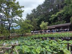 -韶山毛泽东同志故居