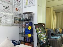 -络小护经络养生馆(天星桥店)