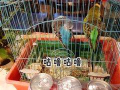 -休记光头香辣蟹干锅店(衣冠庙店)