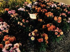 -龙环葡韵住宅式博物馆