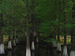 -南京市无想山景区