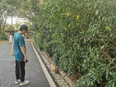 -白云山风景名胜区