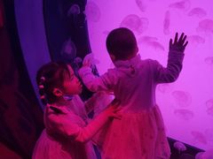 -沈阳海洋探索中心