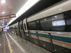-浦东1号2号航站楼(地铁站)