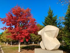 -长春世界雕塑园冰雪艺术天地