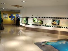 -上海昆虫博物馆