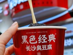 -黑色经典臭豆腐·湖南特产(步行街店)